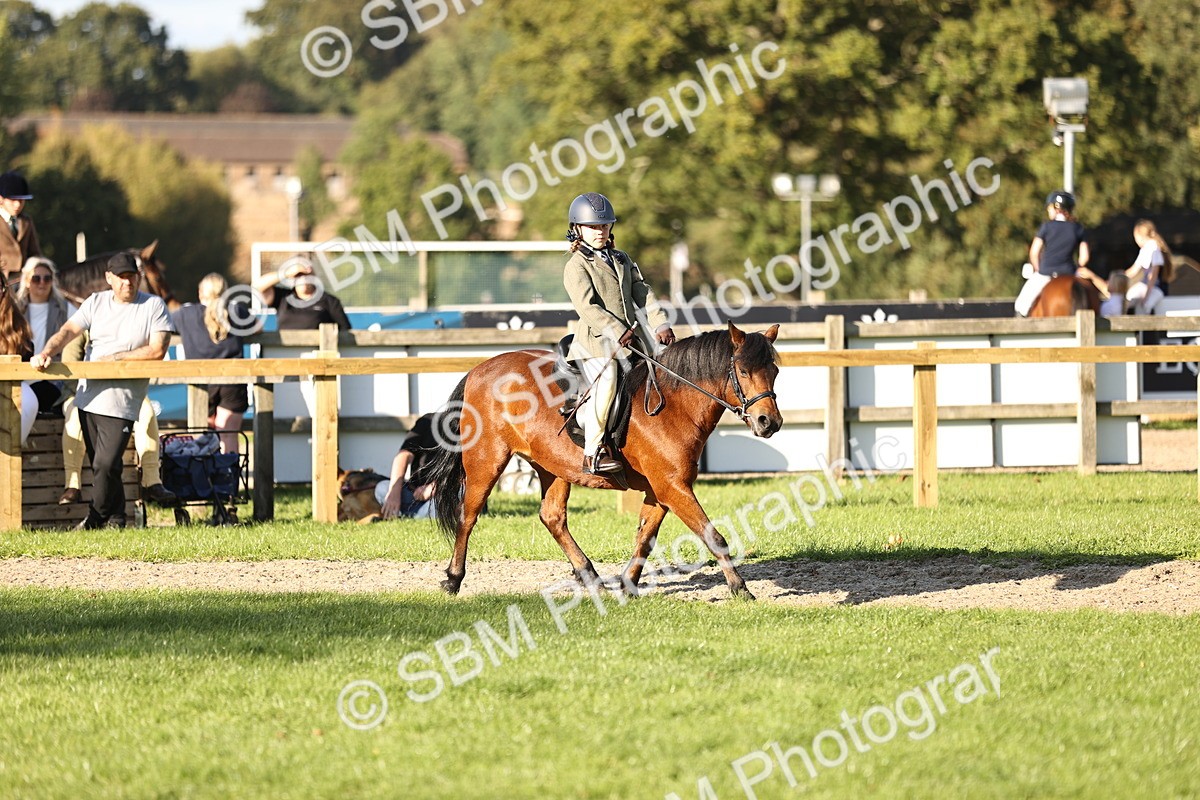 SBM_29429 - S7 - Novice & Newcomers Ridden Pony
