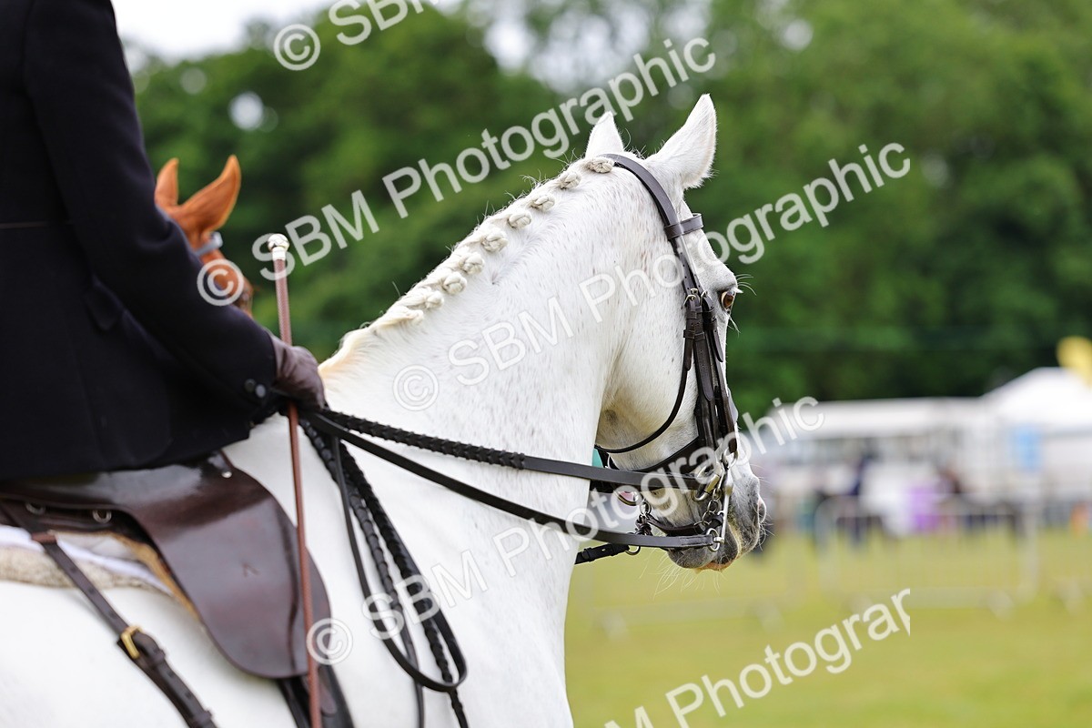 SBM_02773 - Class 9-11 Side Saddle including LIHS Rising Star Ladies Show Horse