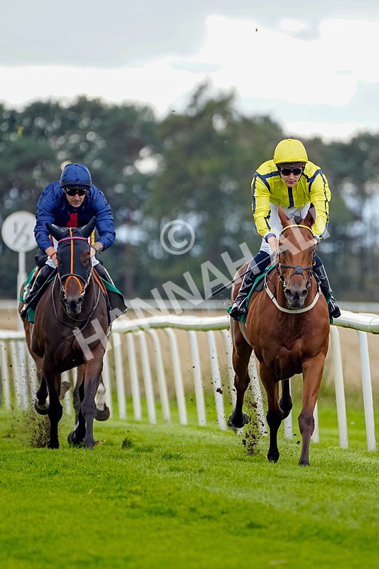 050926-Race 6-High Storm-2 - Race 6 4.25pm Calverts Carpets Hambleton Cup Handicap