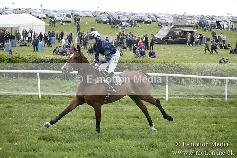 PtP 170417 499 - Old Berks Point-to-Point Lockinge 17/04/17