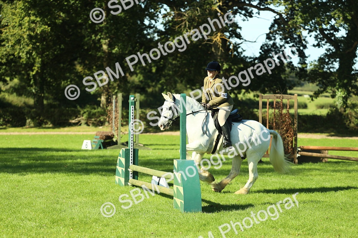 SBM_37387 - S29 - Novice & Newcomers Working Hunter Pony