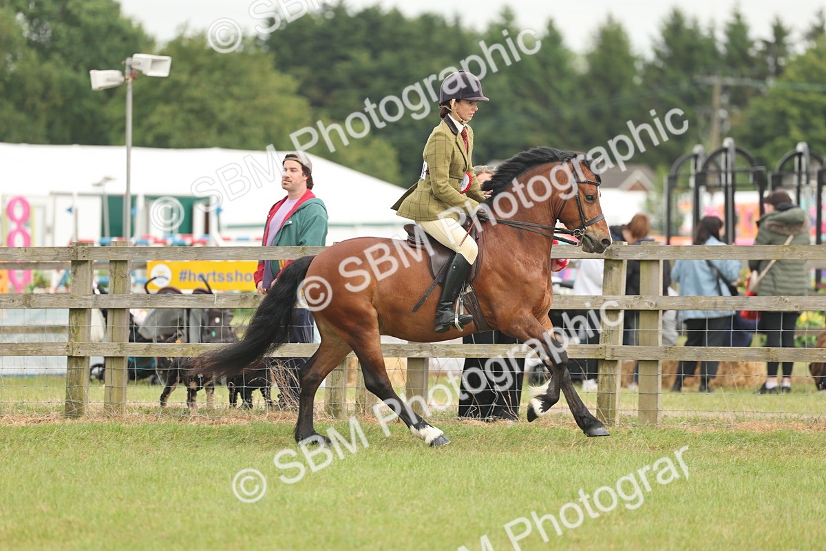 SBM_09133 - Class 78-80 - Ridden M&M Non Welsh Ponies