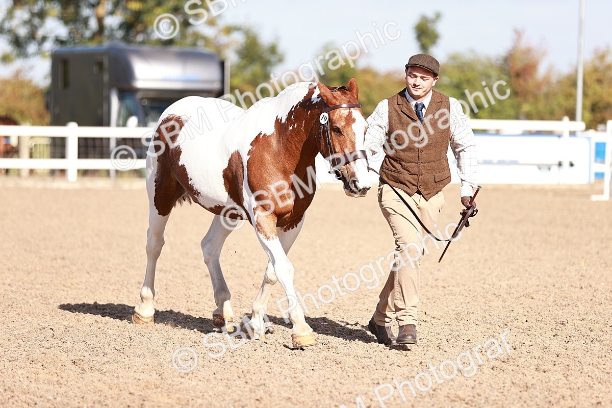 SBM_22075 - Class 703 - IH Coloured