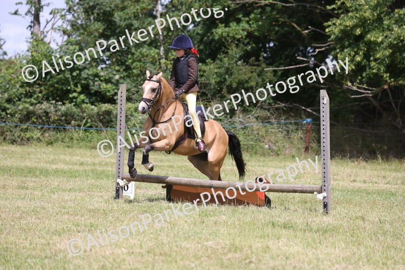 20260614-1894 - Class 21 - Novice Working Hunter Pony