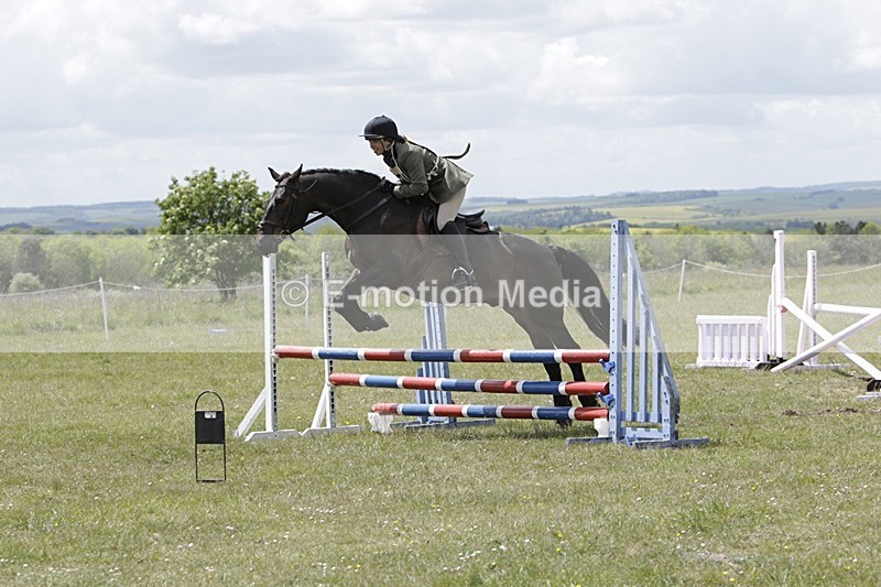 BVHT 140517 N-248 - Class 2 SJ Novice 14/05/17