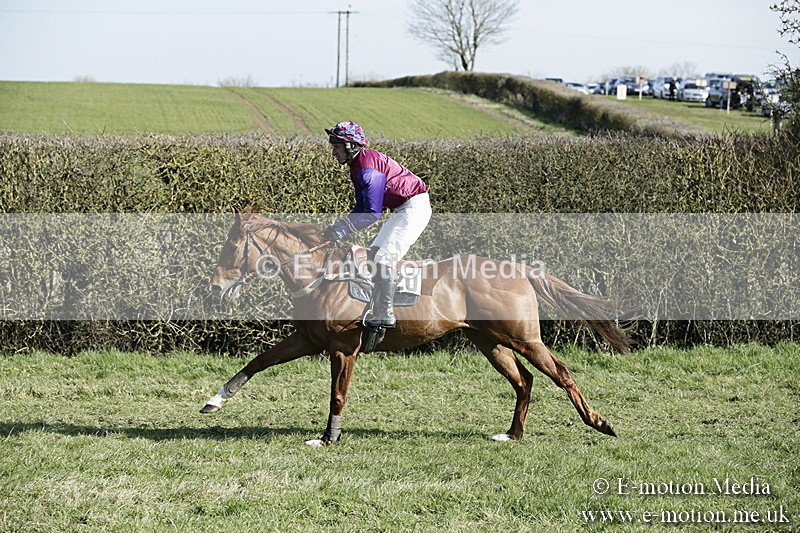 PtP 250317 174 - V.W.H. Hunt Point-to-Point Siddington 25/03/17