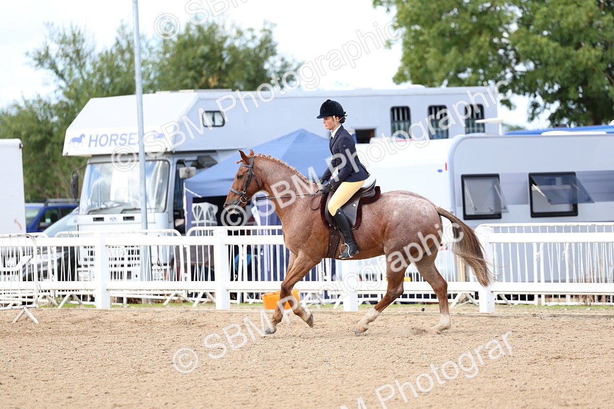 SBM_10115 - Class 304 - Ridden Part Bred Horse Pony