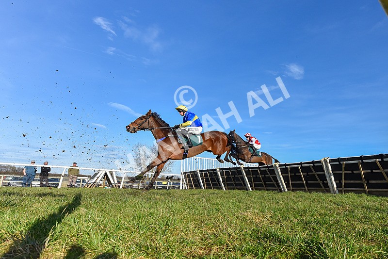 050325-Race 4-Hostile Hotelier-0958 - Race 4