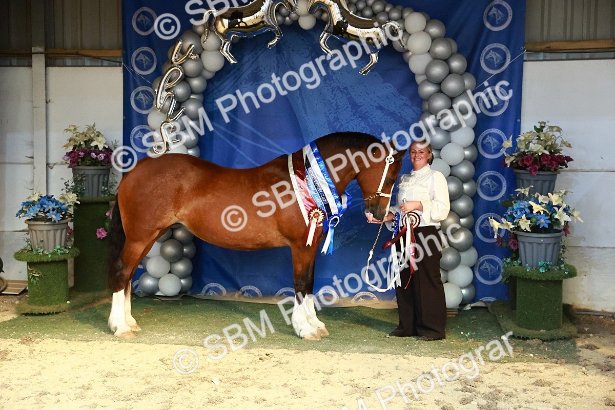 SBM_18000 - M&M Supreme Final Champ