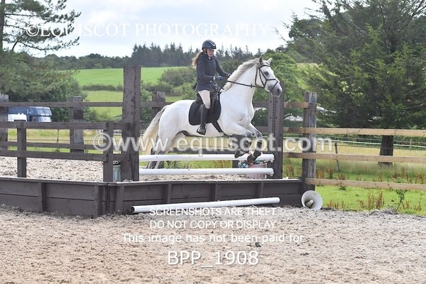 BPP_1908 - DERBY CLASS 5 - 60CM