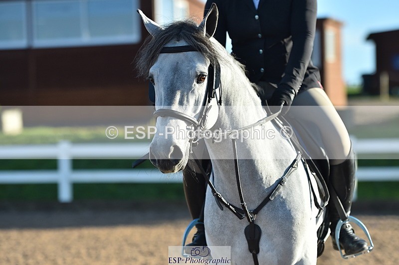 231111A-025958-01312 - Cls 9 British Novice & 90cm Open