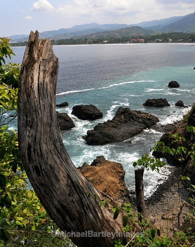 Coastal Beauty - Nature as Art