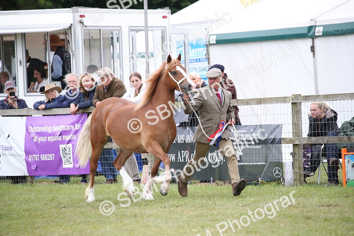 SBM_09745 - Ch 50 - Price Family Supreme In Hand