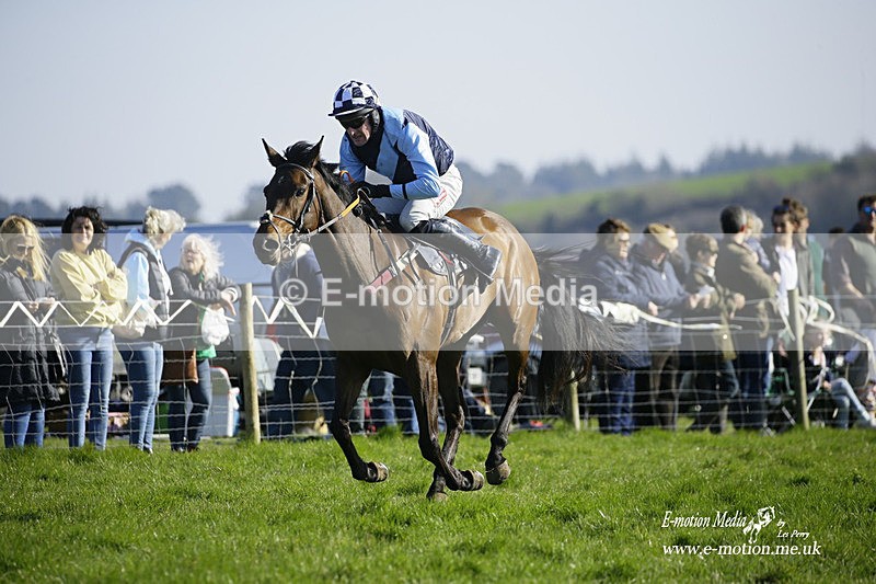 PtP 190322 758 - Wilton Hunt PtP Milborne St Andrew 19/03/22
