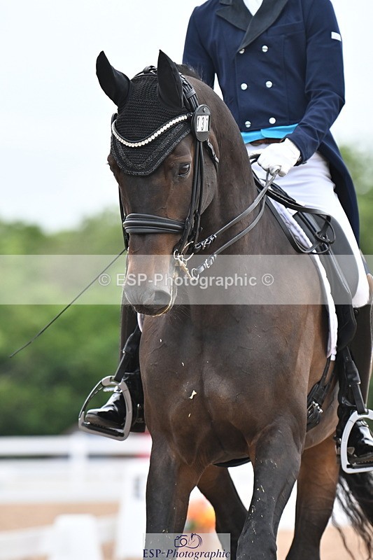 240621A-185134-06356 - Cls 17 BD FEI PSG