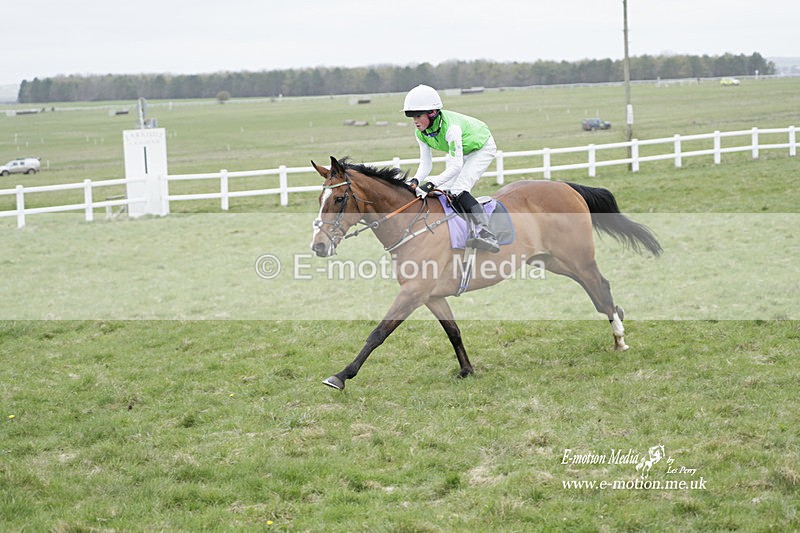 PtP 260323 1136 - New Forest Hounds Point-to-Point Larkhill 26/03/23