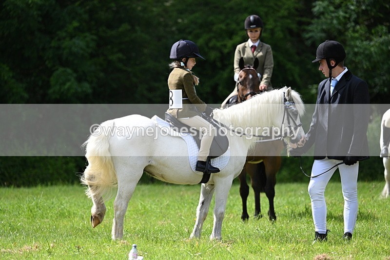 WJ7_1366 - Class 11 Condition & Turnout