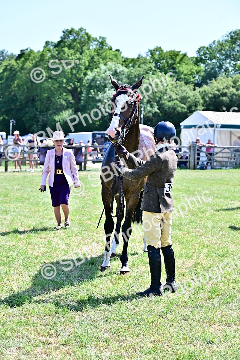 SBM_18167 - Class 99-100 - Retraining of Racehorses Ridden