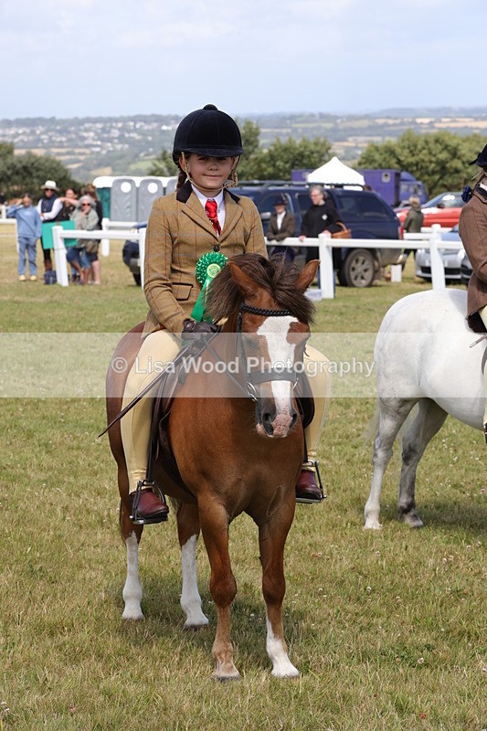 1X9A5455 - Class 37: NPS M&M First Ridden
