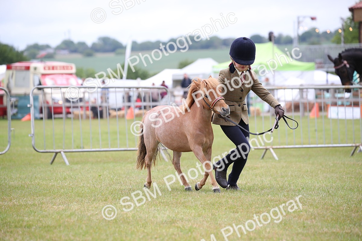 SBM_03533 - Class 23-25 - British Miniature Horse of the Year