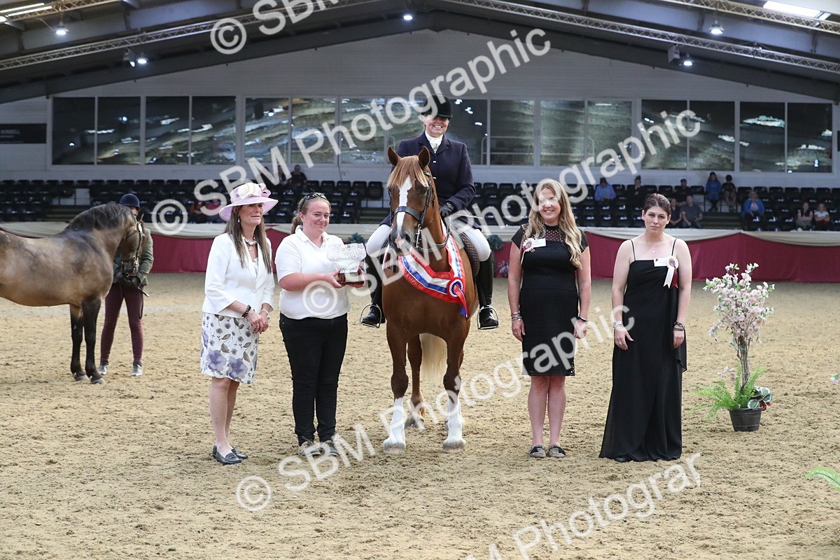 SBM_17211 - M&M Supreme Final Champ