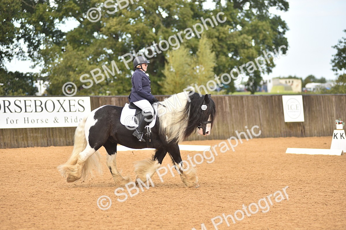 SBM_02160 - D7 - Small Tour Championship Prelim 2