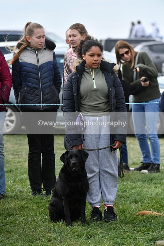 WJ5_0143 - Class 5 Best Veteran / 7 years & over