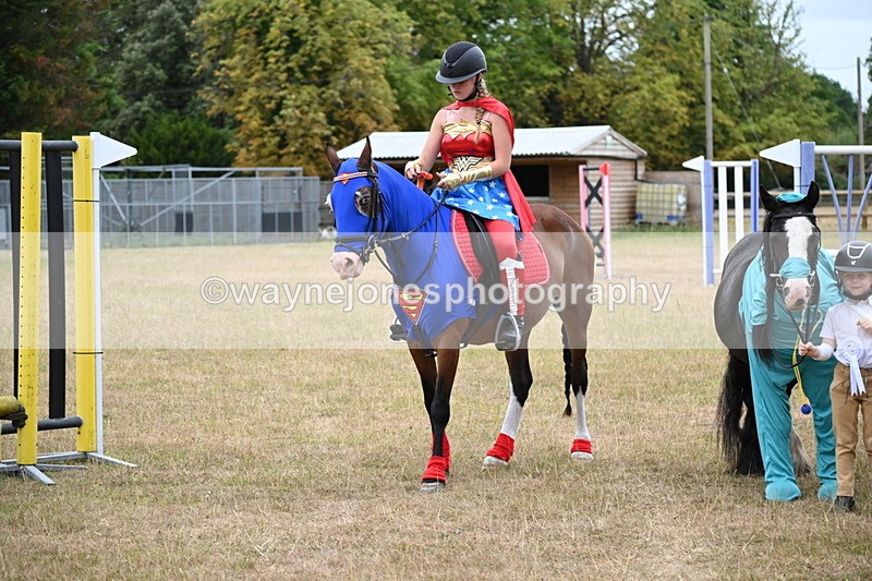 WJ6_9091 - Class 11 Fancy Dress