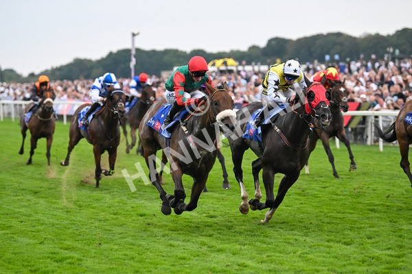 230825-Race 5-Northern Ticker-0756 - Race 5 4.10pm Sky Bet Constantine Handicap