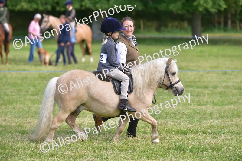 20260614-1133 - Class 11a - Lead Rein Pony (Unplaited)