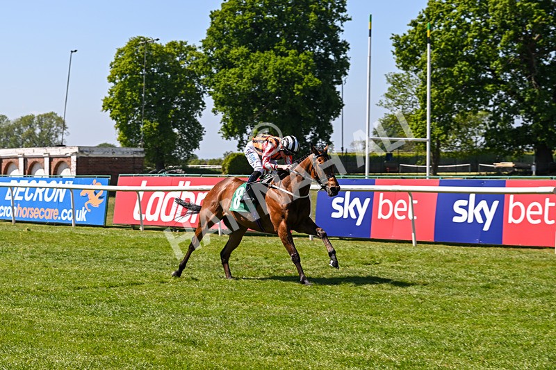 170525-Race 2-Kodiac Thriller-7998 - Race 2