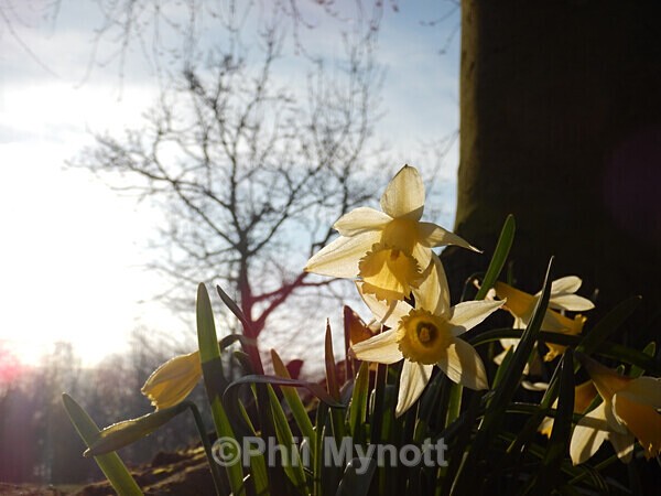 MynottART172 - Photo Mynott ART Images