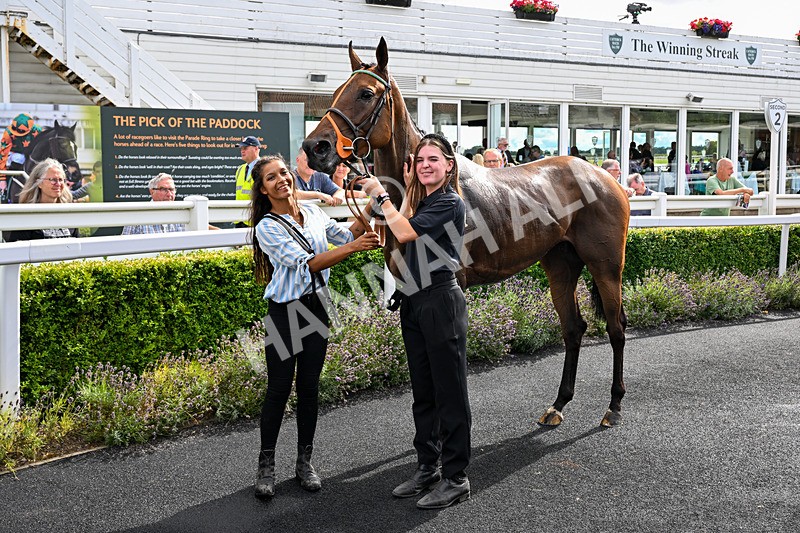 040826-Race 5-Halimede-3440 - Race 5 16.15pm racingtv.com Handicap