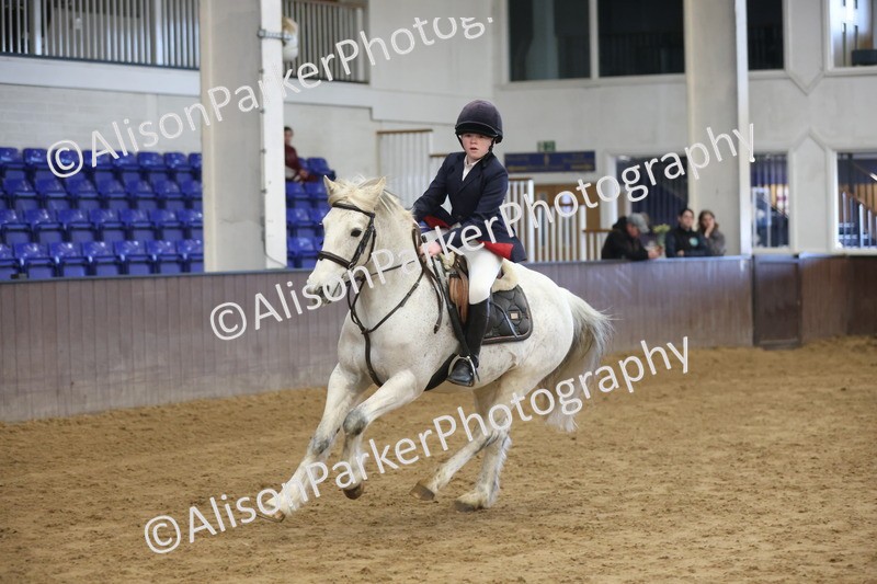 20260314-0528 - 60cm