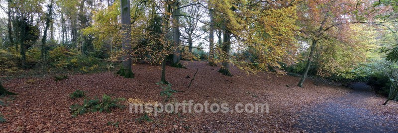 Hillsborough Park - Irelands landscapes