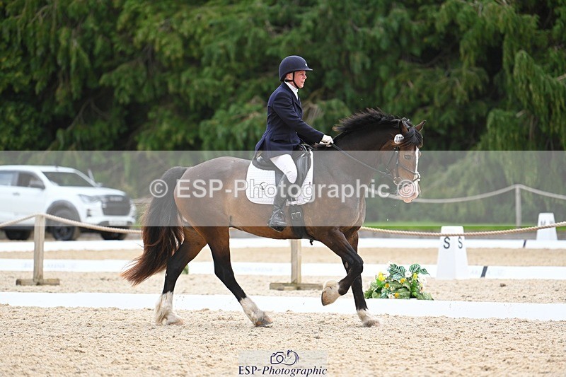 230813-140833-07683 - Cls 13 Medium Bronze 13.15 to End