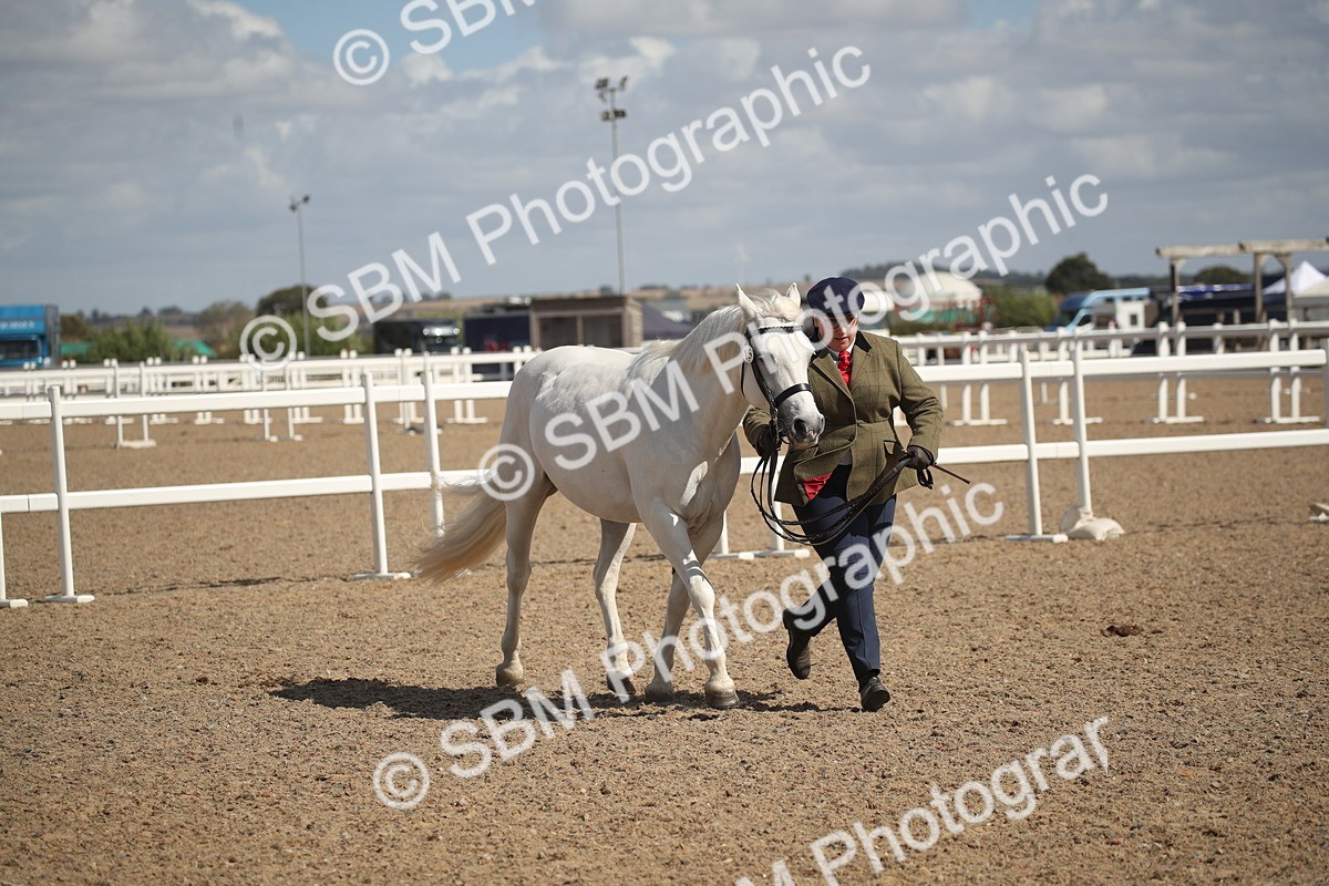 SBM_23133 - Class 606 - 2026 - Area - IH Pre Vet