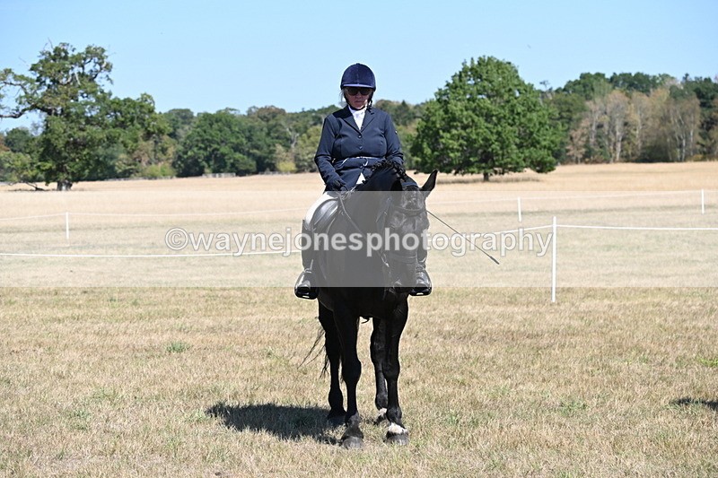 WJ6_8412 - Class 37a Best Loan Pony Ridden