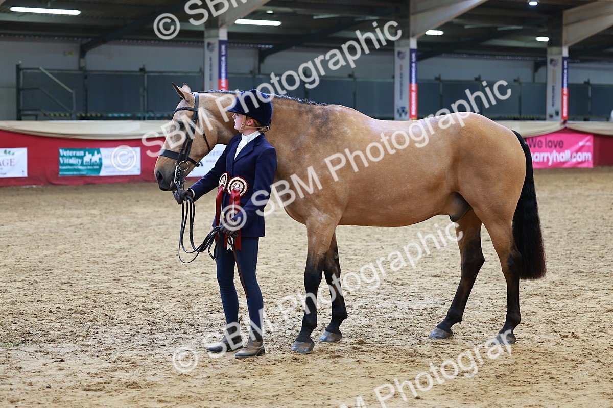 SBM_18763 - Class 903 - Sup Final - IH Pre Vet