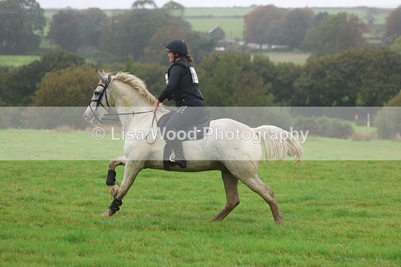 3E7A0973 - Class 1: 65cm: Rails