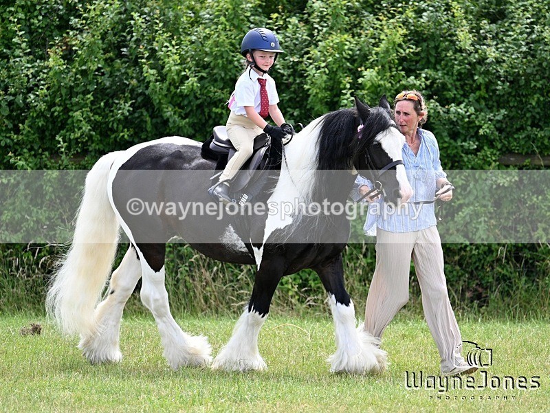 WJ7_8114 - Nancy And Churchill SORC summer show 21-06-26