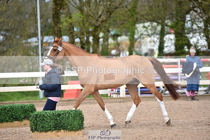 240417A-151300-00781 - 3pm to 4pm