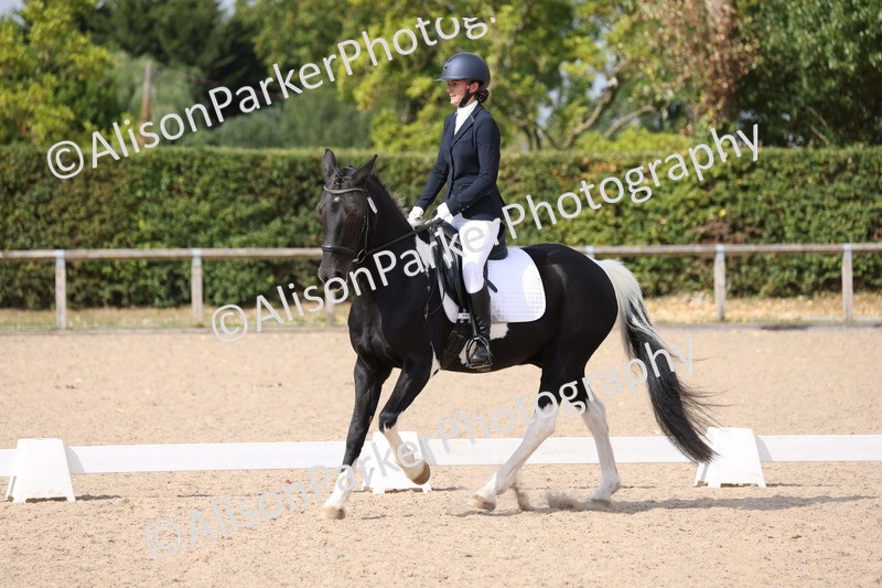 20250820-1364 - Class 19 - Medium 3