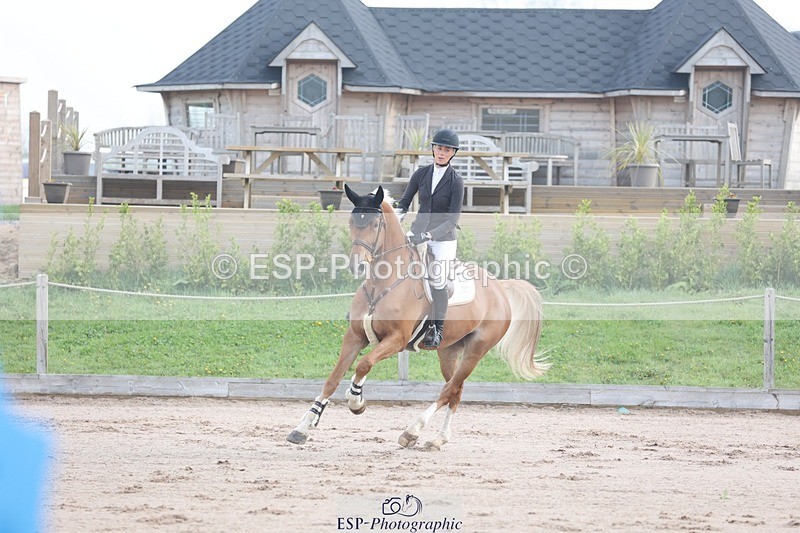 250424-083918-02436 - Cls 25 Young Horse 5yr old