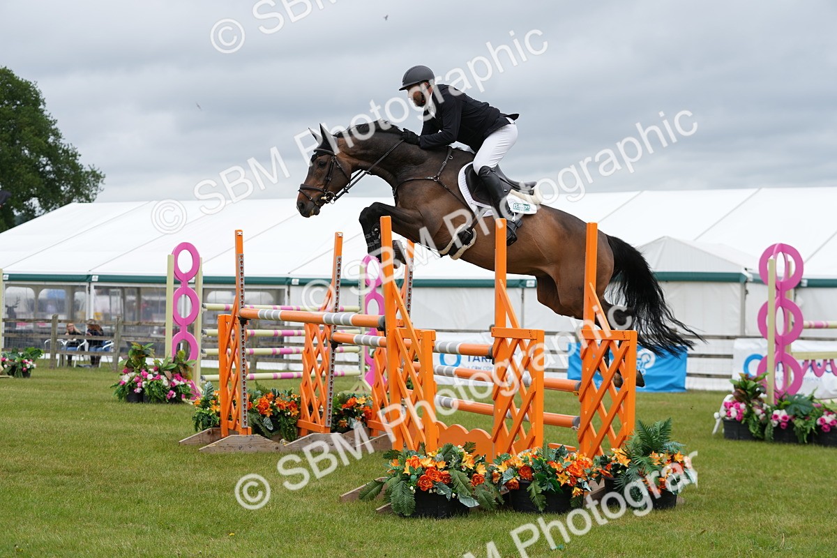 SBM_03407 - Class 201 - British Horse Feeds Speedi Beet Horse of the Year Show Grade  C
