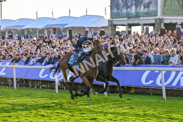 111025-Race 7-Lets Dream-9110 - Race 7 Coral 'Committed To Safer Gambling' Finale Handicap at York