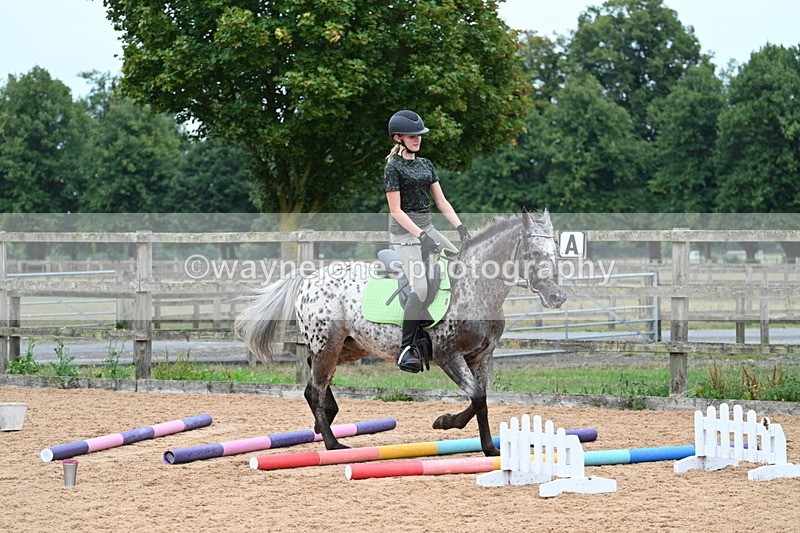 WJ7_9883 - Poles 14:00