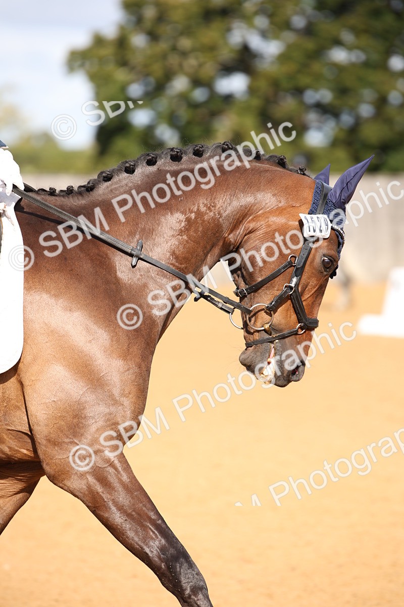 SBM_04174 - D2 Small Tour Championship Intro C