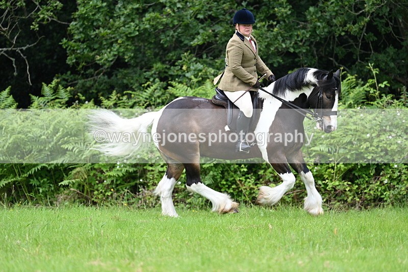 WJ7_2366 - Class 12A Coloured Class