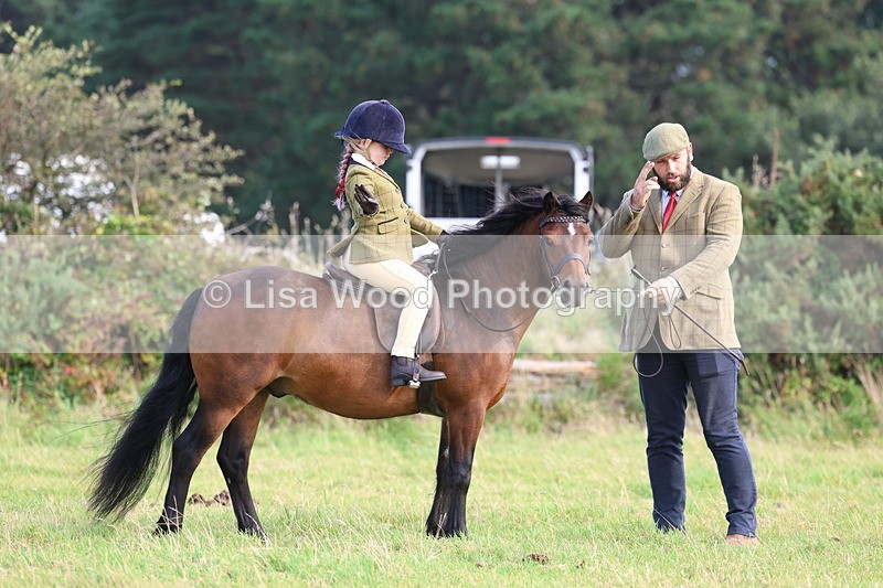 3E7A3562 - Class 2: Lead rein